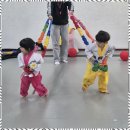 태성태권도 이미지