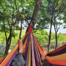 한솔공원 이미지