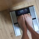 와이마트 하남드림점 | W36. 식은땀 흘렸던 리얼 상견례 후기｜우설화 미사점 방문 후기 &amp; 상견례 찐 주의사항 💡