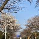 서호동-19 이미지