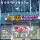 세종공인중개사사무소 | 잠실부동산 세종공인중개사사무소 실속형 상담