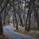 마곡사관광지 이미지