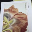 임자작은도서관 | 12월 책방사이 함께 읽기, 박완서 『한 말씀만 하소서』