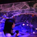 해피소울 이미지