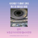 현피티샵 이미지