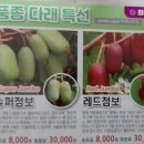 다래슈퍼 이미지