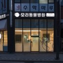 좋아서하는동물병원 | 삼송 동물병원 추천 | 가을이 방광결석 치료 내돈내산 후기🌻