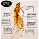곁두리 이미지