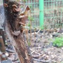 아침풍경 이미지