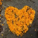 목동집 | 돌판과 함께 즐기는 삼겹살 맛집, 목동 고기집 양화돌판삼겹 방문후기