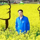 고인돌 매일일보