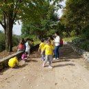 사직초교 병설유치원 이미지