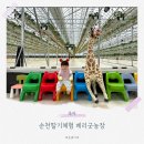 순천딸기체험 베리굿농장 당도 시설 놀이까지 완벽해