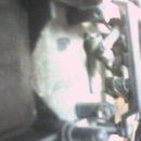 대양빌리지 이미지