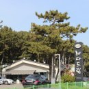 바다드림 이미지