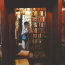 브루니컴퍼니 | 혼자파리여행 뛸르히정원 휴식, 미드나잇인파리 셰익스피어서점 방문, 센강의 오전