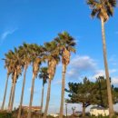 산풍목장 이미지