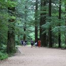 아이원리조트 이미지