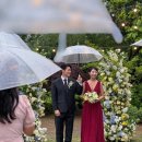 씨즈더데이 이미지