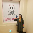 냥이 싸롱 이미지