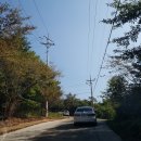 합천렉카 | [거창] 보랏빛 아스타국화 꽃 여행 거창 감악산