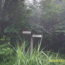 입실약국 이미지