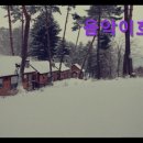 음악이흐르는숲 | 강원도 평창 대관령 숙소 리조트 캠핑 추천 음악이흐르는숲 조용한 자연 속에서 힐링