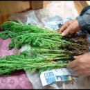 대광농장2 이미지