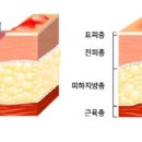 유후정한의원 이미지