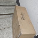오로라 캣 | 고양이 용품 예쁘고 튼튼한 원목 가르르 오로라 캣폴 캣타워 안전한 캣폴 고양이 선물 내돈내산