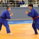 제주특별자치도 유도회관 이미지