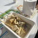 굴축제 | 고흥 굴축제 후기｜사람 많았던 제1회 해창만 굴 축제 솔직 후기