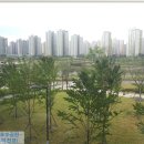망월천_호수공원2 이미지