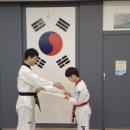 용인대청룡태권도전문도장 이미지