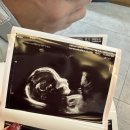 아기사랑 | [공지] [육아템🐰] 아기전용 세탁기로 삼성 아기사랑 세탁기 구매했어요! 내돈내산 후기 🌱