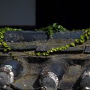 조홍제 생가 이미지