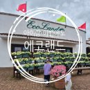 GD팜 | [제주도 2주살기] 칙칙폭폭 기차 에코랜드 테마파크, 생일자 할인, 아이들 맘껏 뛰어놀 수 있는곳^^