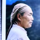 감로 | 건강차 감로다원 상품 구매 후기 내돈내산