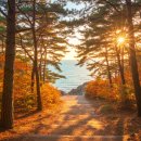 솔향기길1코스(당봉) | 태안 솔향기길 1코스 - 덥지 않아 완벽했던 가을 트레킹 후기 (중년 건강 필수 코스)