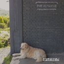 아트리트리브 이미지