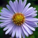 동산자연어린이집 이미지