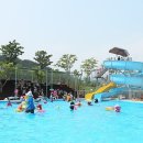 씨름장 화장실 이미지