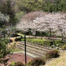 월영동177 이미지