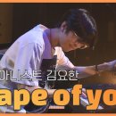 Shape of you 이미지