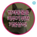 강동24시SKY 동물병원 이미지
