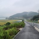 서부해안로(안치) 이미지