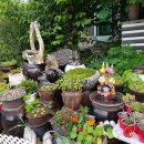 시크릿 가든 펜션 이미지