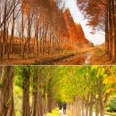 가을 단풍이 아름다운 국내 여행 코스 BEST3 이미지