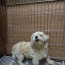 달서천로 이미지