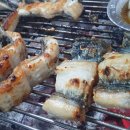 장어세상 이미지